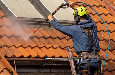 Démoussage et hydrofuge de toiture au Frêche